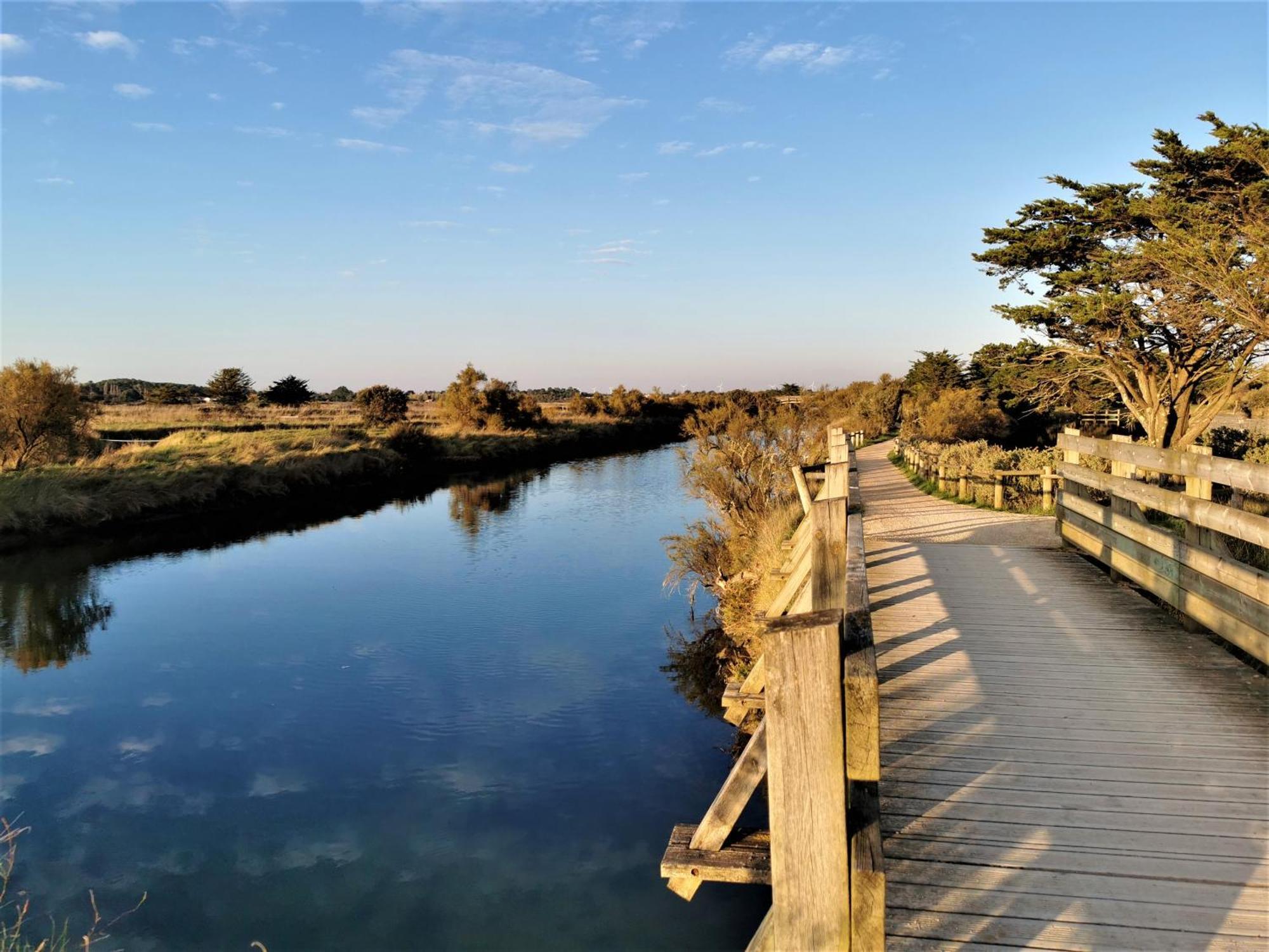 La Lezardiere A Deux Pas Des Quais Villa Les Sables-dʼOlonne Exterior foto